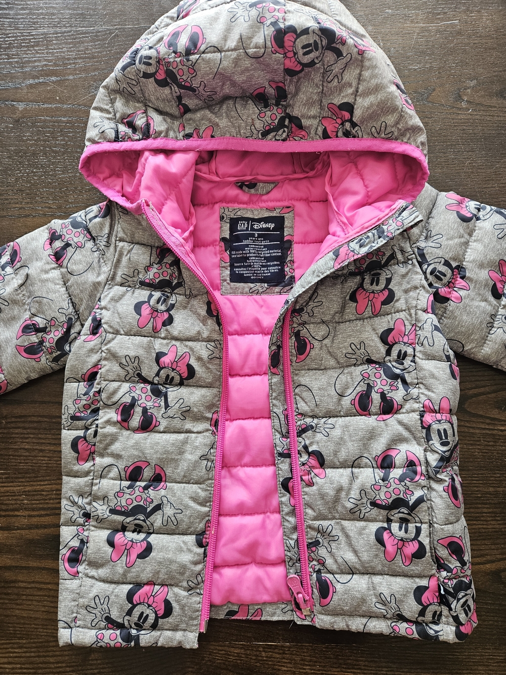 3T Baby GAP Kids Minnie Mouse Gray Jacket with Pink Lining